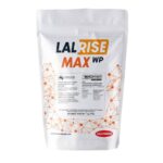LALRISE MAX WP 1kg - Rhizophagus irregularis - Mycorhize en poudre