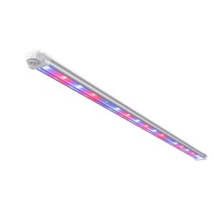 led fog boost uva uvb ir 110cm