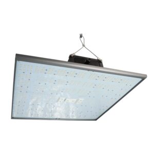 led horticole pure led q240 240 pour la culture indoor