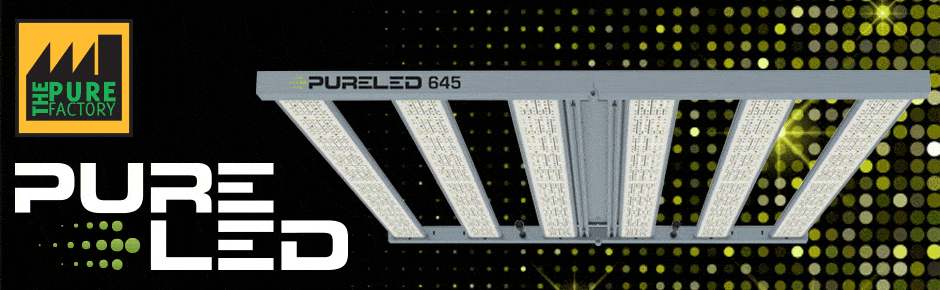 led horticole pureled auxine jardinerie alternative led horticole pureled auxine jardinerie alternative