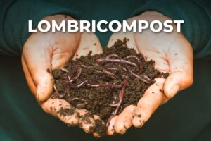 vers de compost et lombricompost dans les mains, avant utilisation au jardin