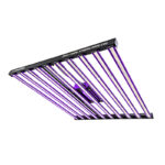 lumatek zeus 1000w xtreme ppfd co2 1