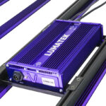 lumatek zeus 600w pro 3 1 barres led horticoles pleine croissance 4