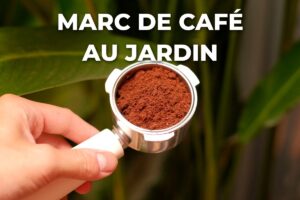 café moulu dans un porte-filtre devant des feuilles, futur marc de café pour le jardin