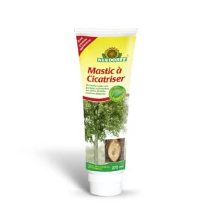 mastic cicatrisant