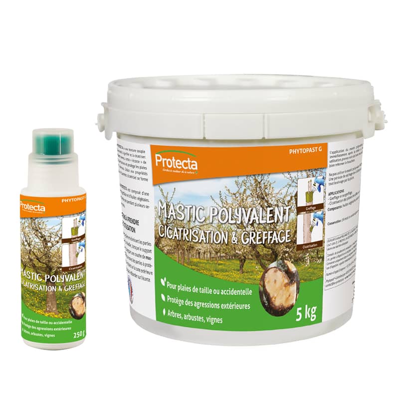 Cire de plaie pour arbres, produit de cicatrisation pour le traitement des  bois d'ornement et de fruit, stérilisation et antisepsis - 500 g :  : Jardin