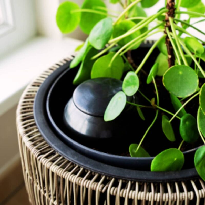olla emaille en pointe a planter dans un pot