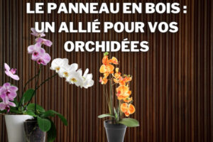 panneau en bois mural pour orchidees