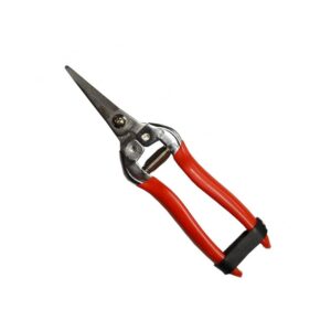 polet epinette pp11009 taille recolte pruning auxine jardinerie alternative colmar