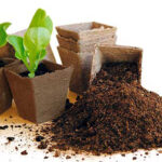 pot carre jiffy biodegradable image 8x8x8 auxine jardinerie alternative colmar