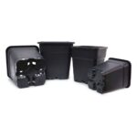 pot carre pure pot