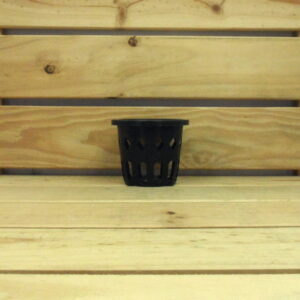 pot thai orchidee 10cm 2