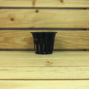 pot thai orchidee 115mm 2