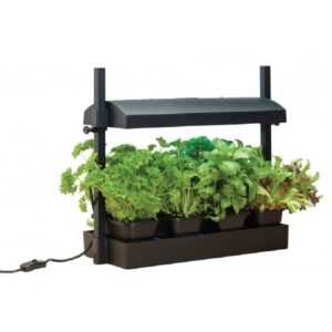 potager d interieur garland g187