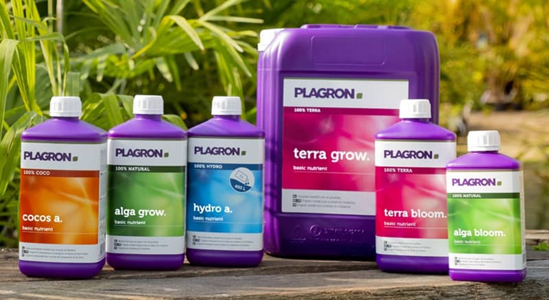 produits plagron auxine jardinerie alternative colmar