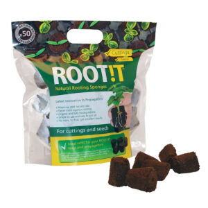 propagation vegetale rootit 50x eponges de bouturage germination 1