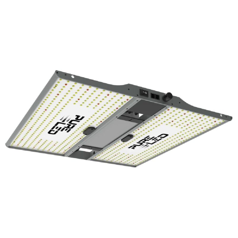 pure led q240 v2 240w