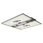 pure led q320