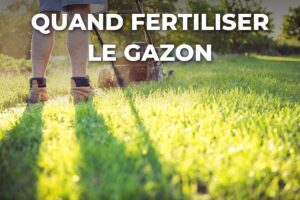 tonte de la pelouse au soleil, à la saison où l'on doit mettre l'engrais gazon
