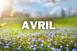que faire au jardin au mois de avril
