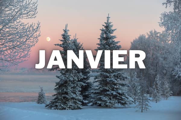 que faire au jardin au mois de janvier