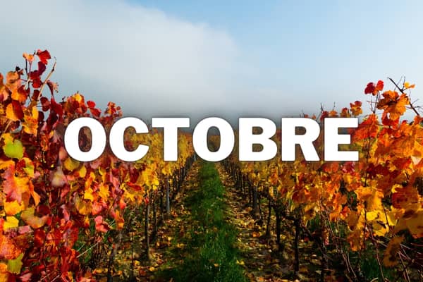 que faire au jardin au mois de octobre