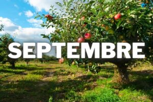 que faire au jardin au mois de septembre