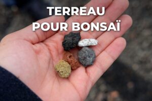 quel terreau pour un bonsaï : roches volcaniques dans la main, ponce, lave et pouzzolane