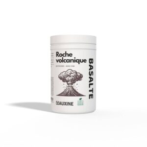 roche volcanique basalte paramagnetique 1500g