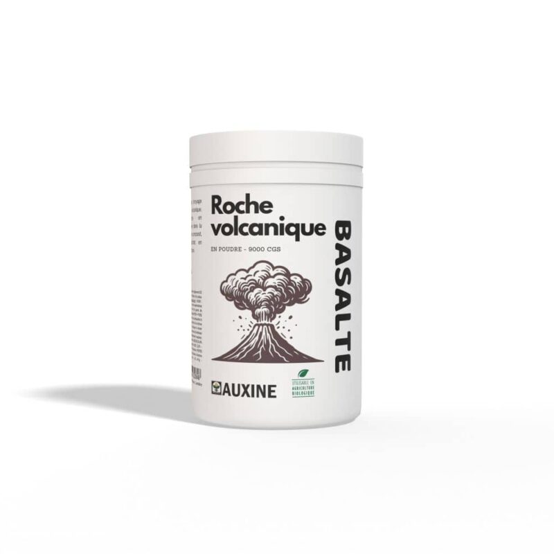 roche volcanique basalte paramagnetique 1500g