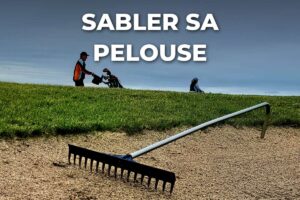 sable ratissé en bordure d'une pelouse