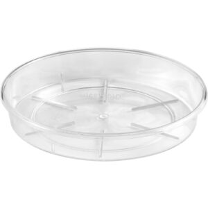 soucoupe ronde transparente orchidee