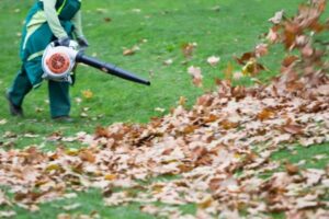 souffleur thermique en utilisation dans un parc