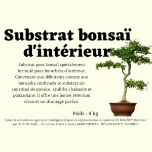 Quel terreau utiliser pour les bonsaïs ? - Jardiland