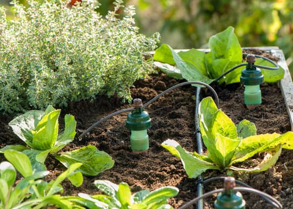 systeme arrosage pour bacs potager