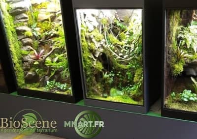 terrarium decor tropical dendrobates xx mnart made in alsace sur mesure haut de gamme plantes reptile lezard bioscene auxine jardinerie alternative colmar