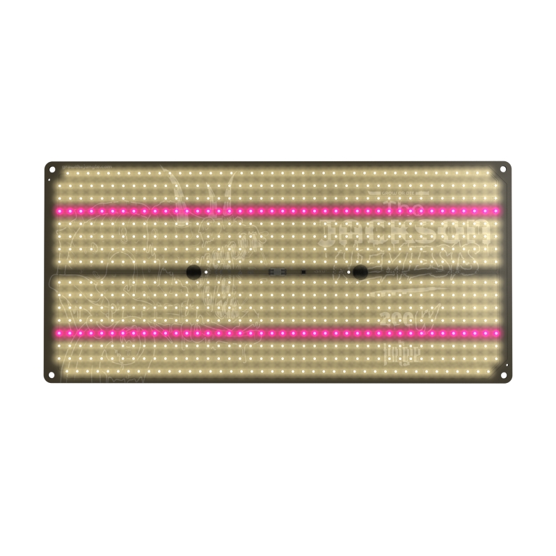 the jackson nemesis 200w 2