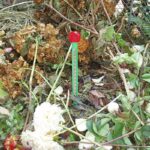 thermometre compost nature 6080082 ean 8711338800829
