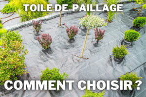 toile de paillage sur un massif ornemental