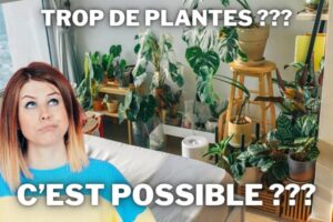 trop de plantes dans une chambre a coucher