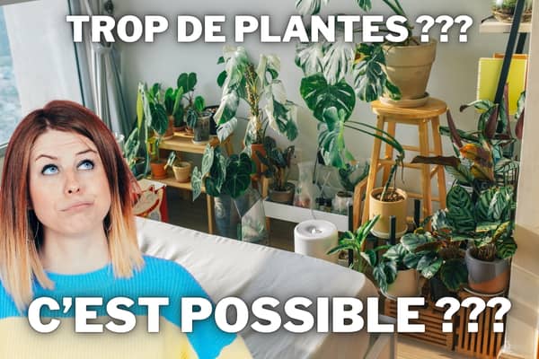 trop de plantes dans une chambre a coucher