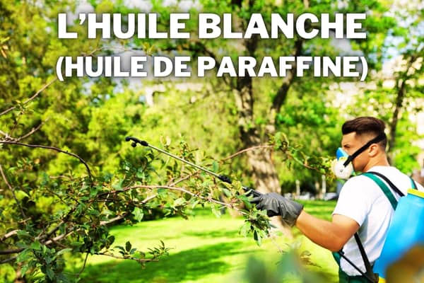 utiliser huile blanche au jardin ou pour traiter les arbres
