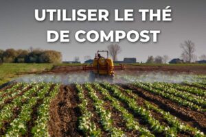 utiliser le thé de compost : pulvérisation sur de jeunes cultures en rangs