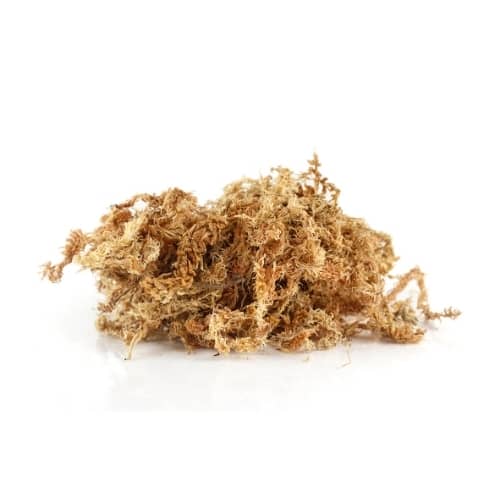 Film Teinté Vitre Prédécoupé Pour Acura RSX 2002-2006 - Portes Avant - Nano-céramique, Plusieurs VLT